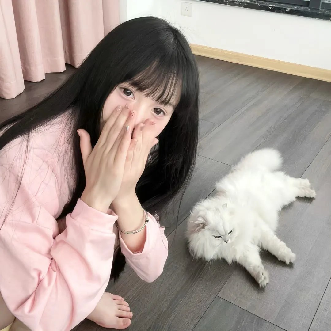 禁区：三个碎片